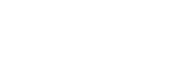 SCHOCK Telescopic slides